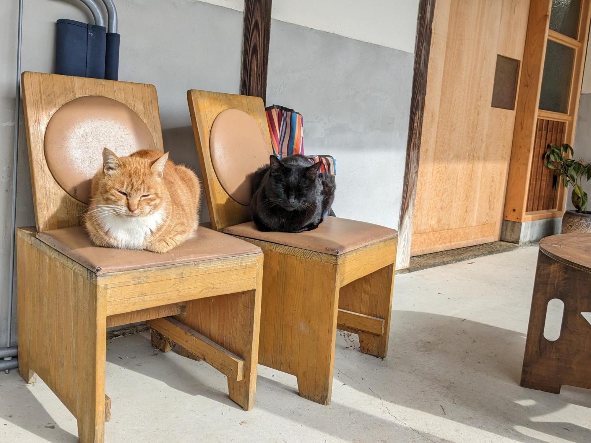 猫と図書館のある宿 草地家 Kusachike Minamiawaji Buitenkant foto