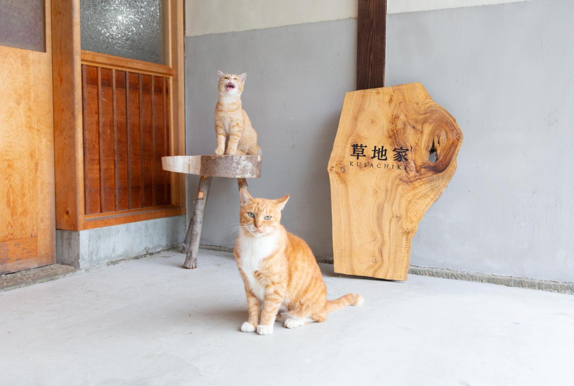 猫と図書館のある宿 草地家 Kusachike Minamiawaji Buitenkant foto